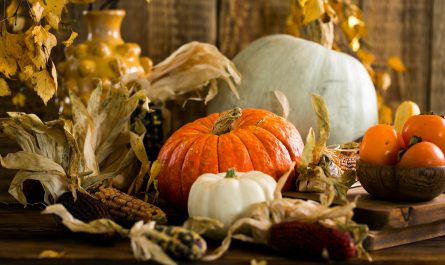 white and orange pumpkins on table